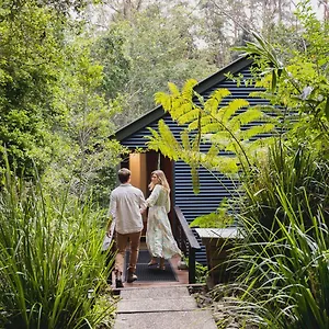 Resort Kondalilla Eco, Montville